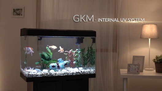 Play Video: Learn More About AA Aquarium From Our Team of Experts