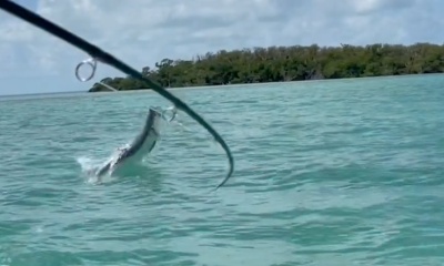 Florida Keys Fly Fishing  Goldenglare Fly Charters