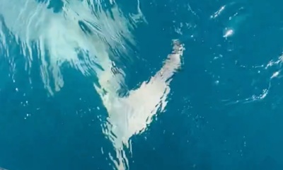Nags Head Report Video 2