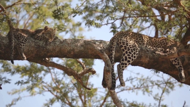 Playing Soccer in an African Village - Micato Luxury Africa Safaris