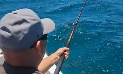 San Jose del Cabo Report Video 0