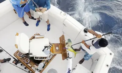 Reporte de Cabo San Lucas Video 0