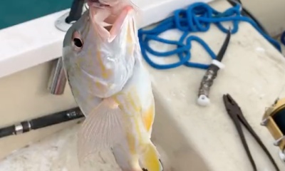 Boynton Beach Report Video 0