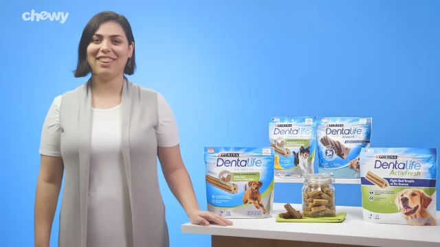 what breed of dog is in the dentalife advert