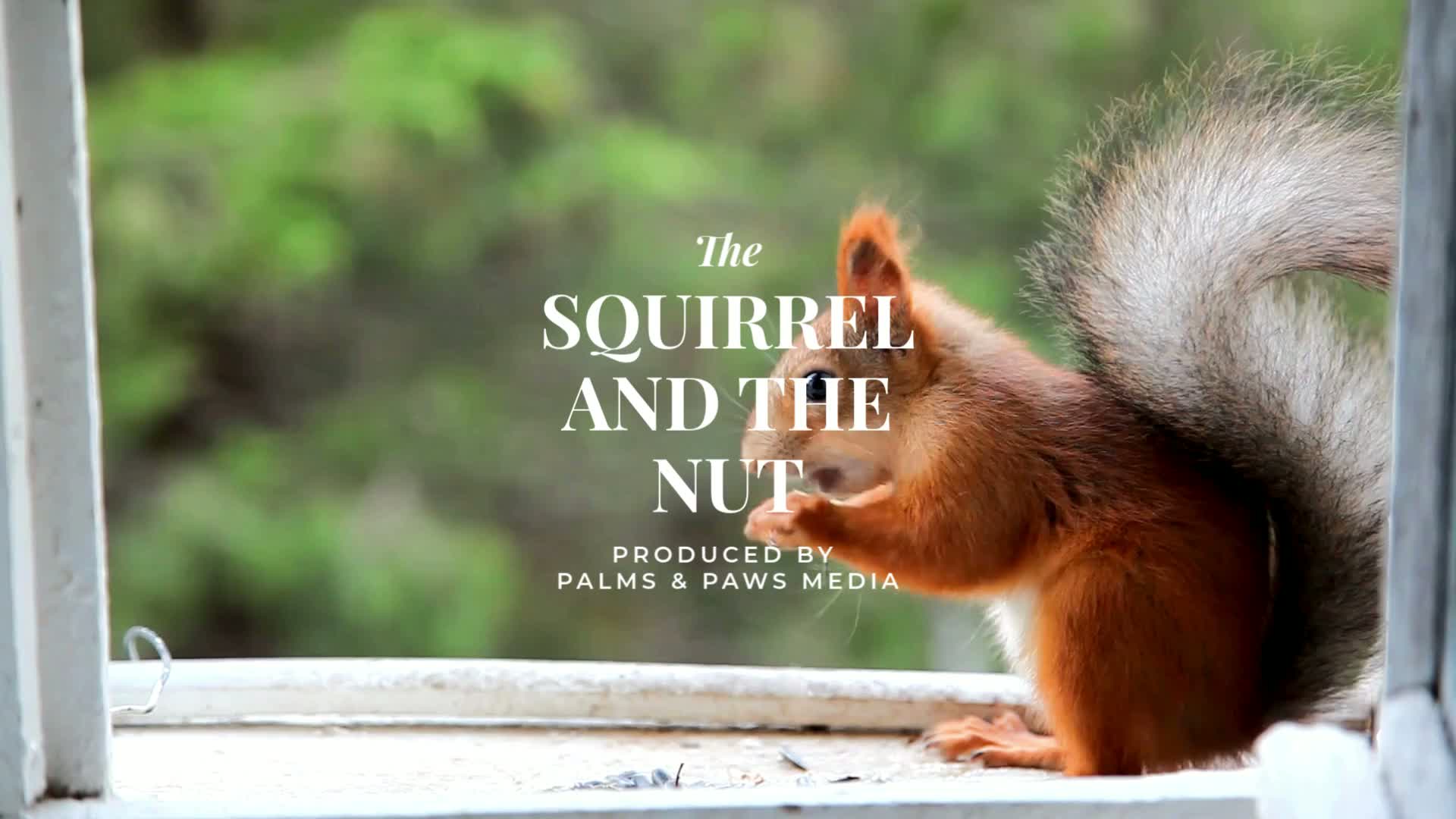 The Squirrel and the Nut