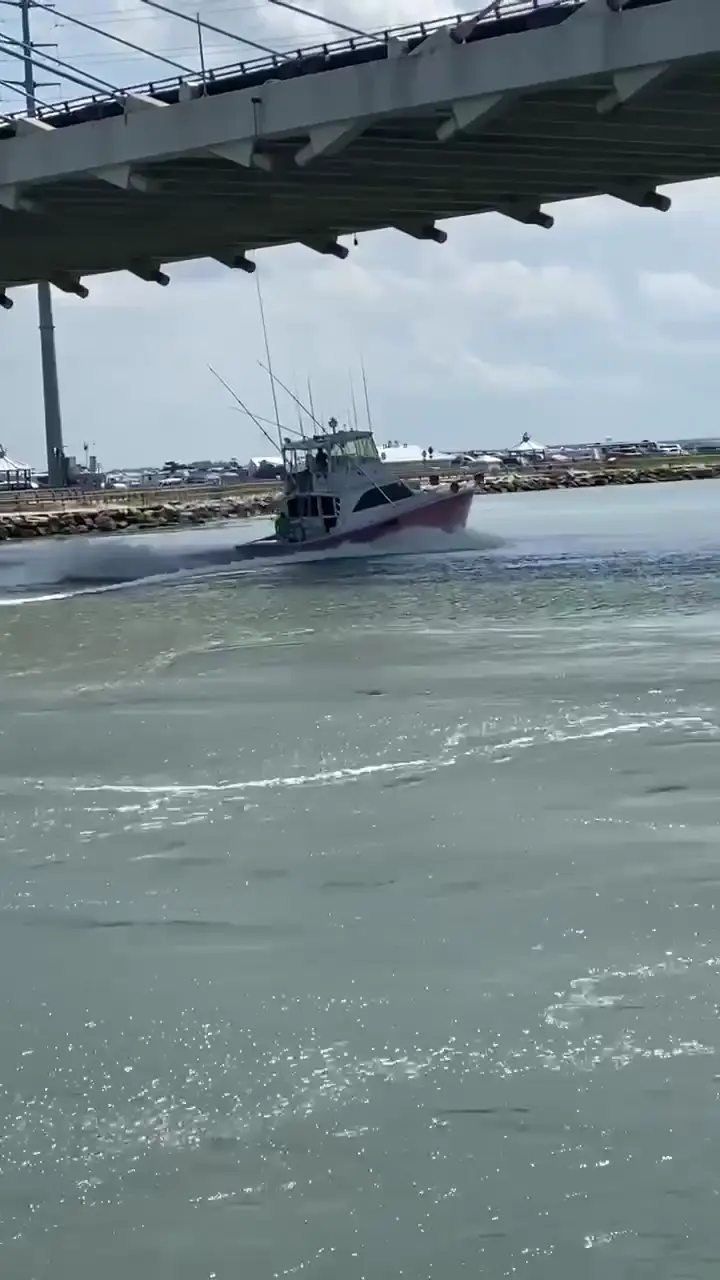 Business Card: On Delivery Sportfishing