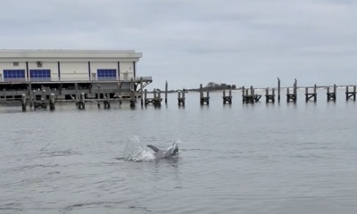 The Most Beautiful Evening Cruise