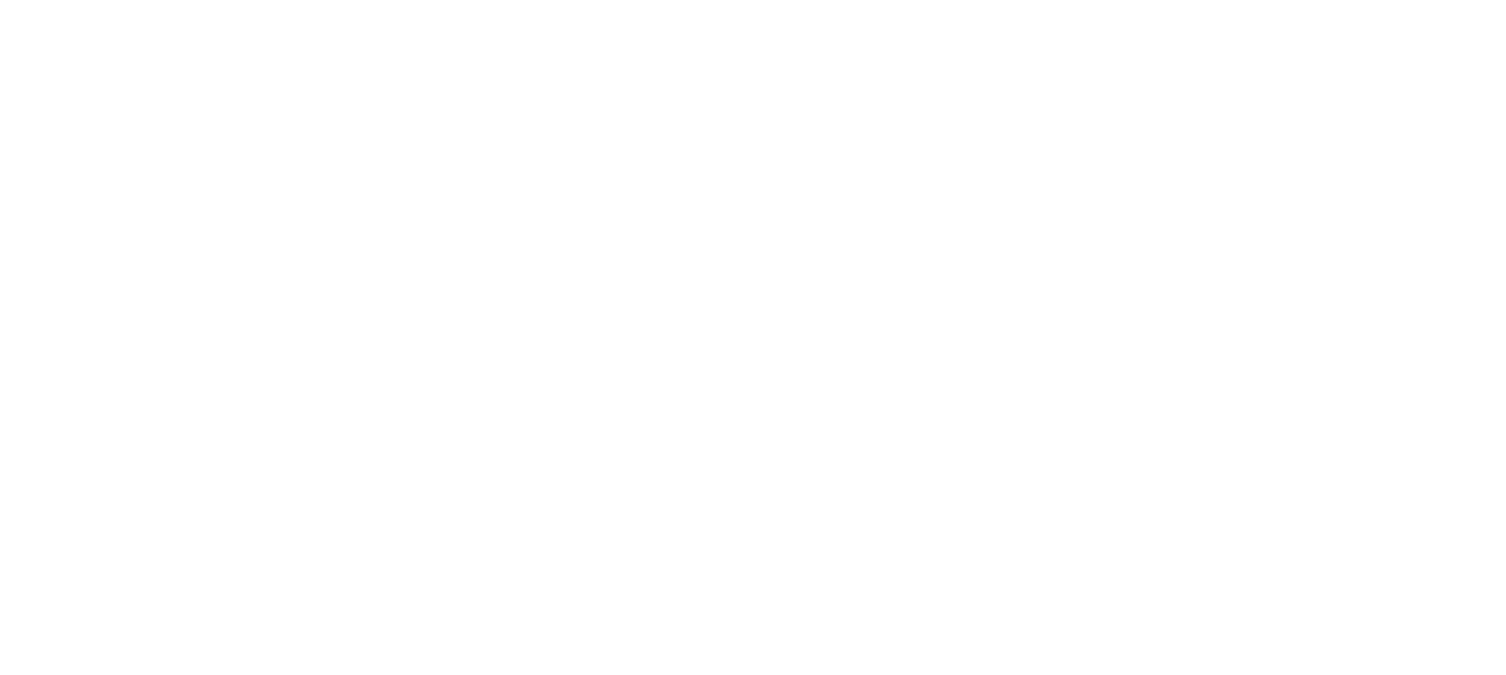 RAISE: The Donor Experience Documentary