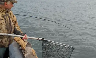 Mastic Report Video 2