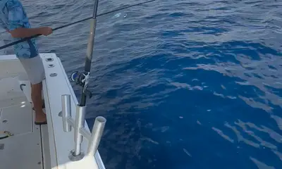 Caught a variety!