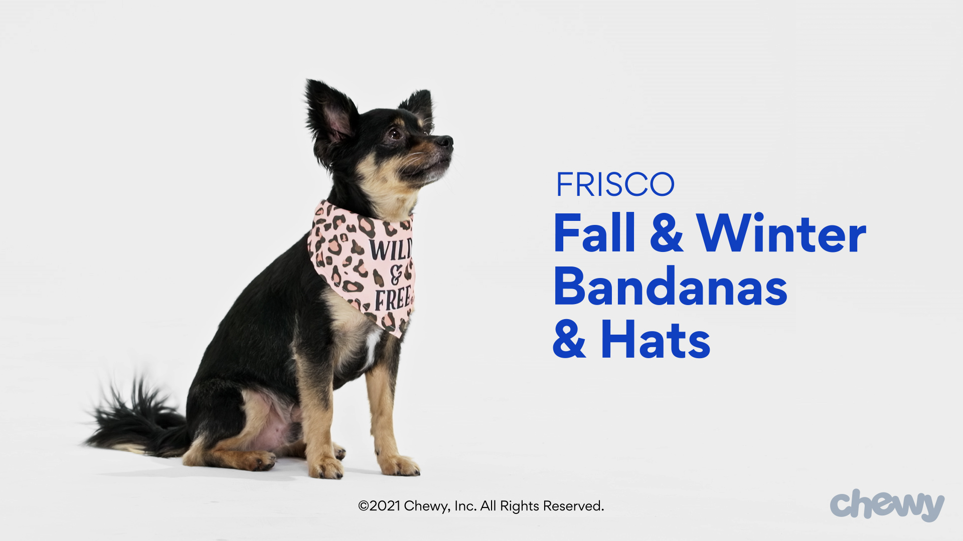 Chewy bandana hot sale