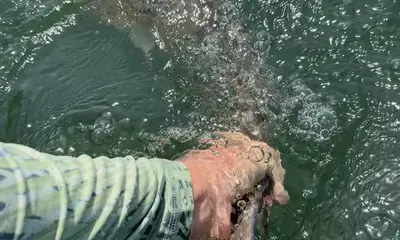 Jacksonville Report Video 1