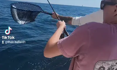 The fish are on fire right now. ? 