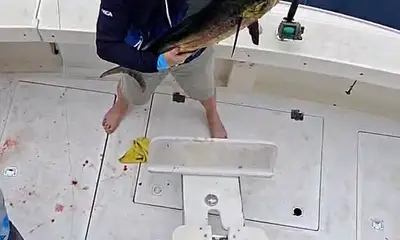 ⭐️⭐️⭐️⭐️⭐️ Excellent Guests – Highly Rec