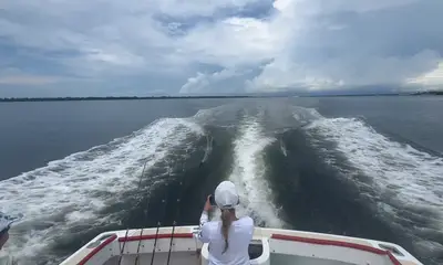 Amazing 
