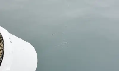 Lake Washington Report Video 1