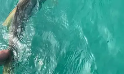 Jensen Beach Report Video 0