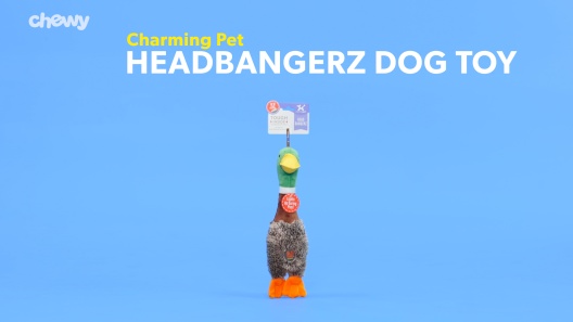 Play Video: Learn More About Charming Pet From Our Team of Experts