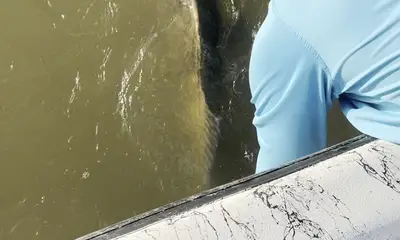 Matagorda Bay Report Video 1