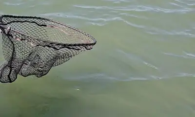 Murrells Inlet Видео отчет 0