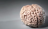 Limitation of Brain Imaging