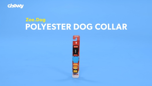 Play Video: Learn More About Zee.Dog From Our Team of Experts