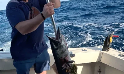 Cancún Report Video 0
