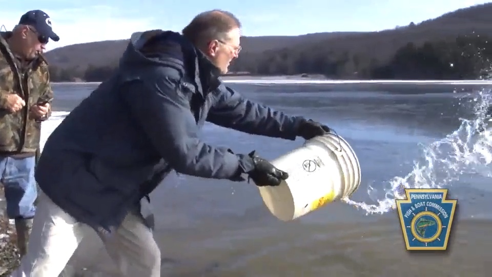 Stocking Trout at Chapman State Park