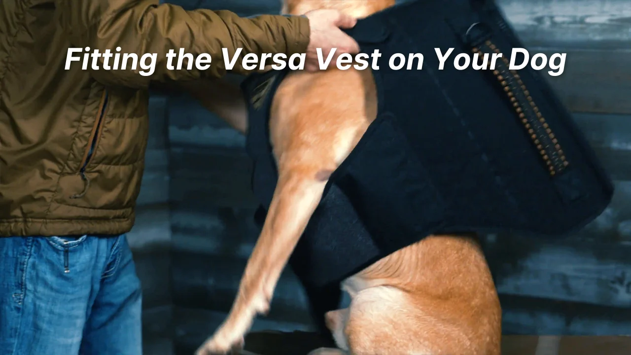 MOmarsh Versa Vest with Blaze Orange Panels | Gun Dog Supply