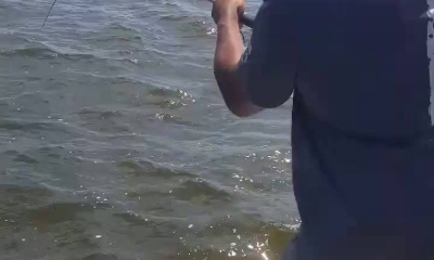 Conroe Report Video 0
