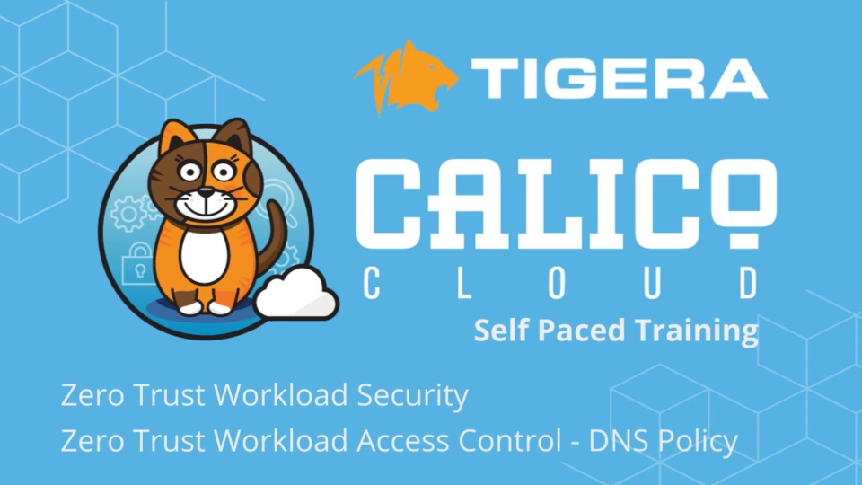 Zero Trust Workload Security / Access Controls / DNS Policy