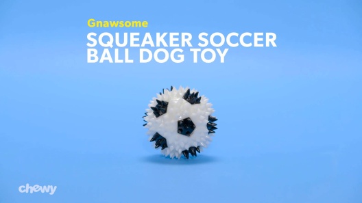 ETHICAL PET Latex Soccer Ball Squeaky Dog Chew Toy, Color Varies