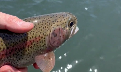 Willamette River Report Video 2