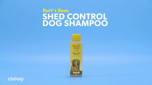 Play Video: Learn More About Burt's Bees From Our Team of Experts