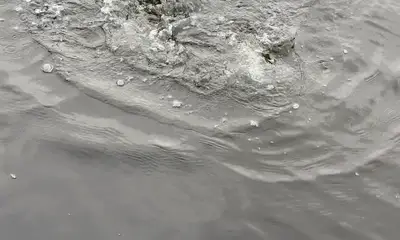 River Road Report Video 0