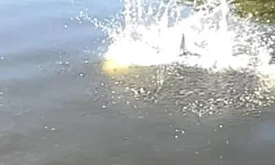 Best fishing trip ever 