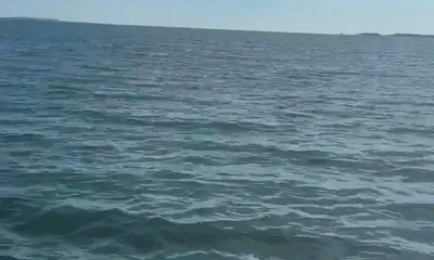 WE GOT A TARPON