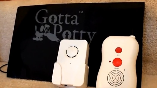 Play Video: Learn More About Gotta Potty From Our Team of Experts