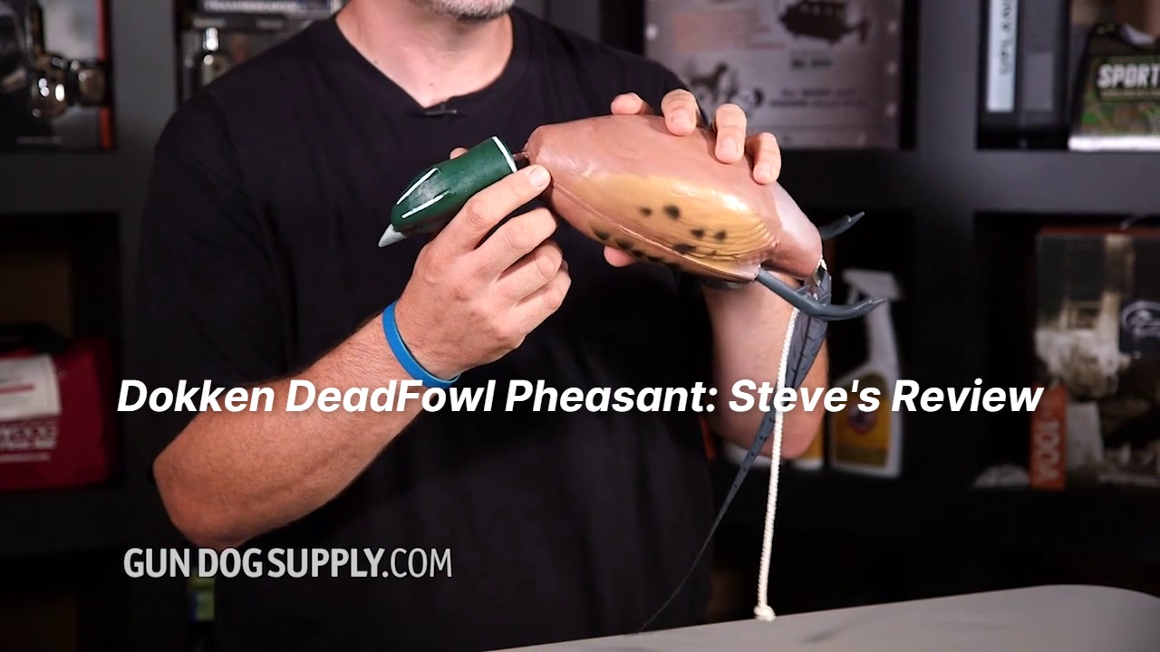 Pheasant F-100 Dokken Deadfowl Dummy | Gun Dog Supply