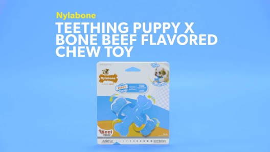 Play Video: Learn More About Nylabone From Our Team of Experts