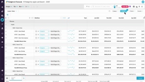 Budget by region and branch