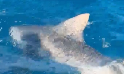 Great  crew on Coyote Tres!