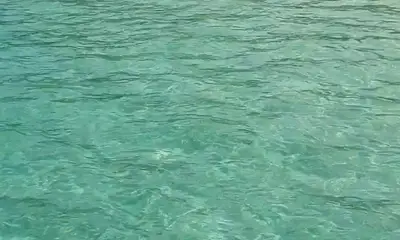 Panama City Report Video 0
