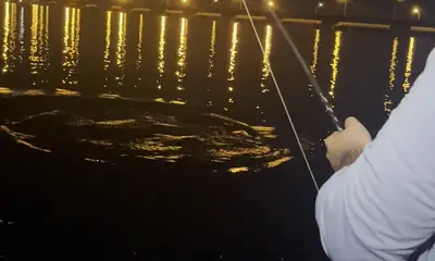 Tampa Bay Report Video 2