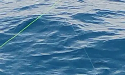 Wanchese Report Video 1