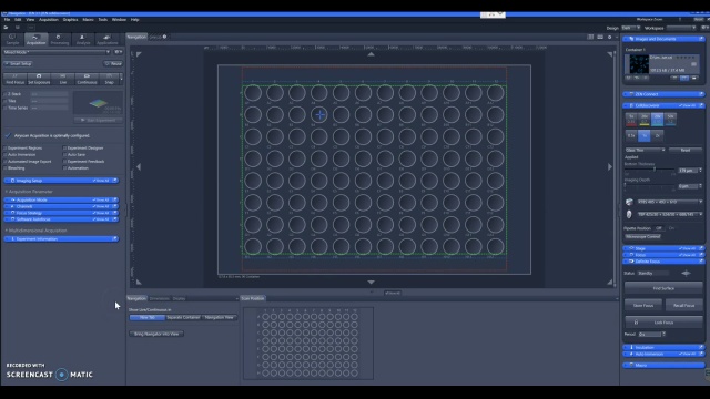 Automated Imaging Workflows with Celldiscoverer 7 & LSM 900