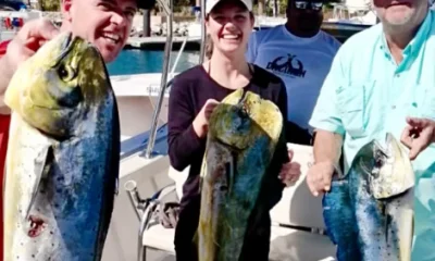 San Jose del Cabo Report Video 0