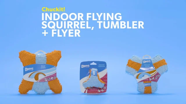 CHUCKIT! Indoor Flying Squirrel Dog Toy - Chewy.com