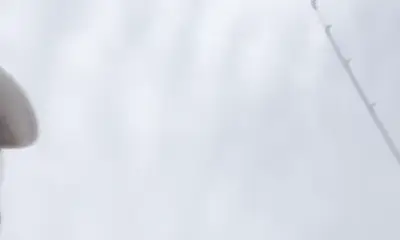 Waccamaw River Report Video 1