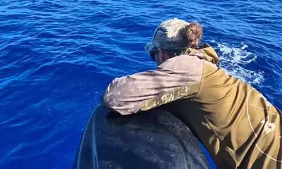 Moorea-Maiao Report Video 4